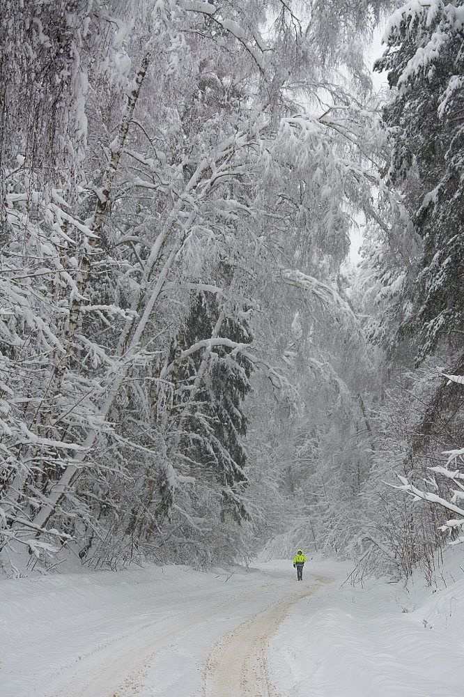 В белом плену
