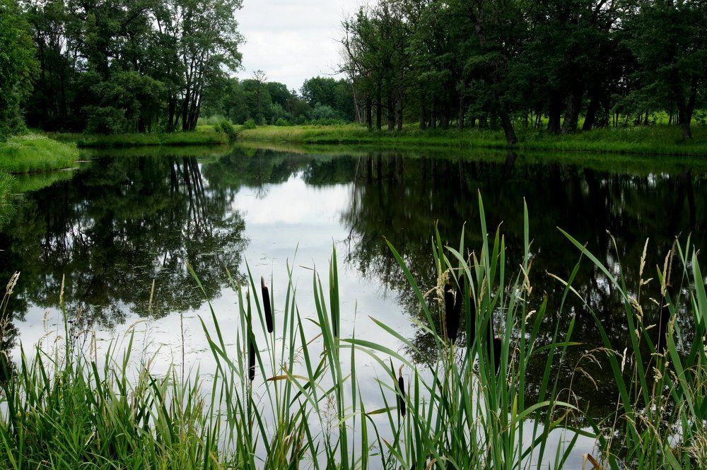 Окрестности г.Гродно. Белорусь
