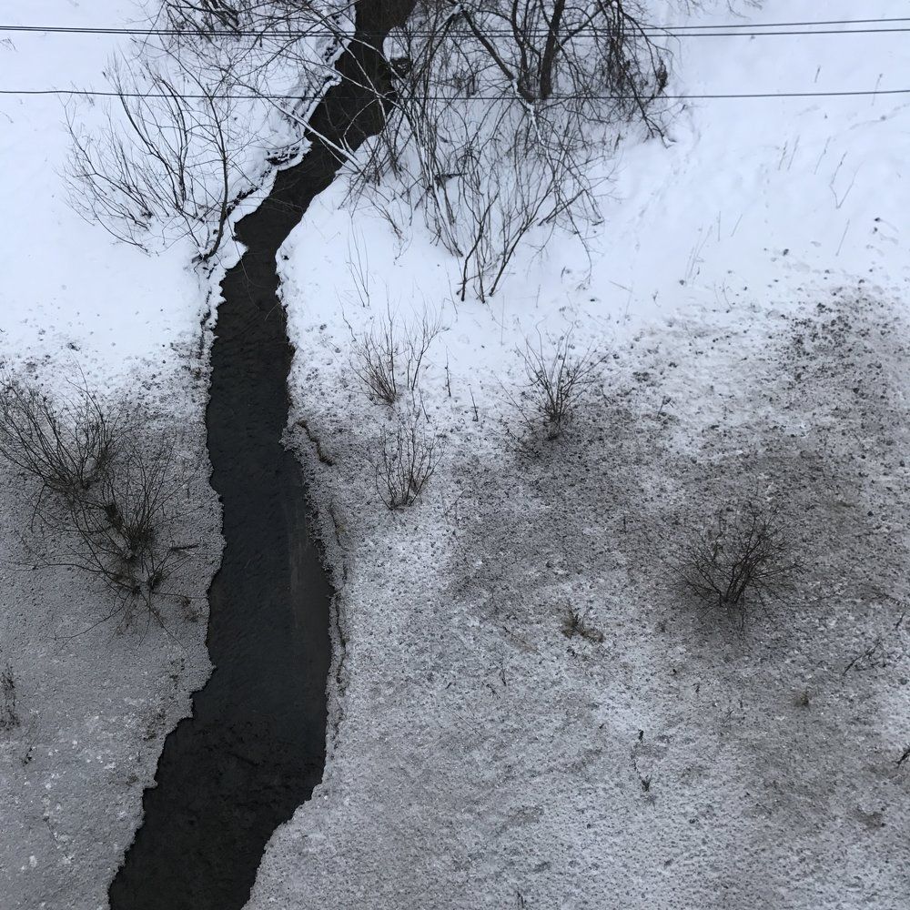 Чебоксарская пальма