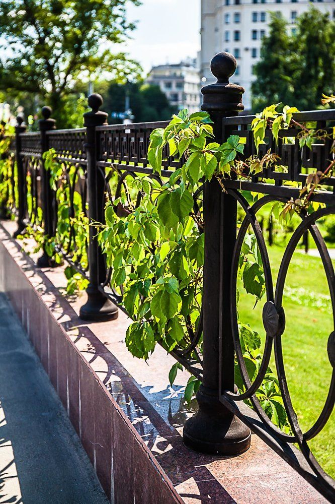 Летний день в новой старой Москве