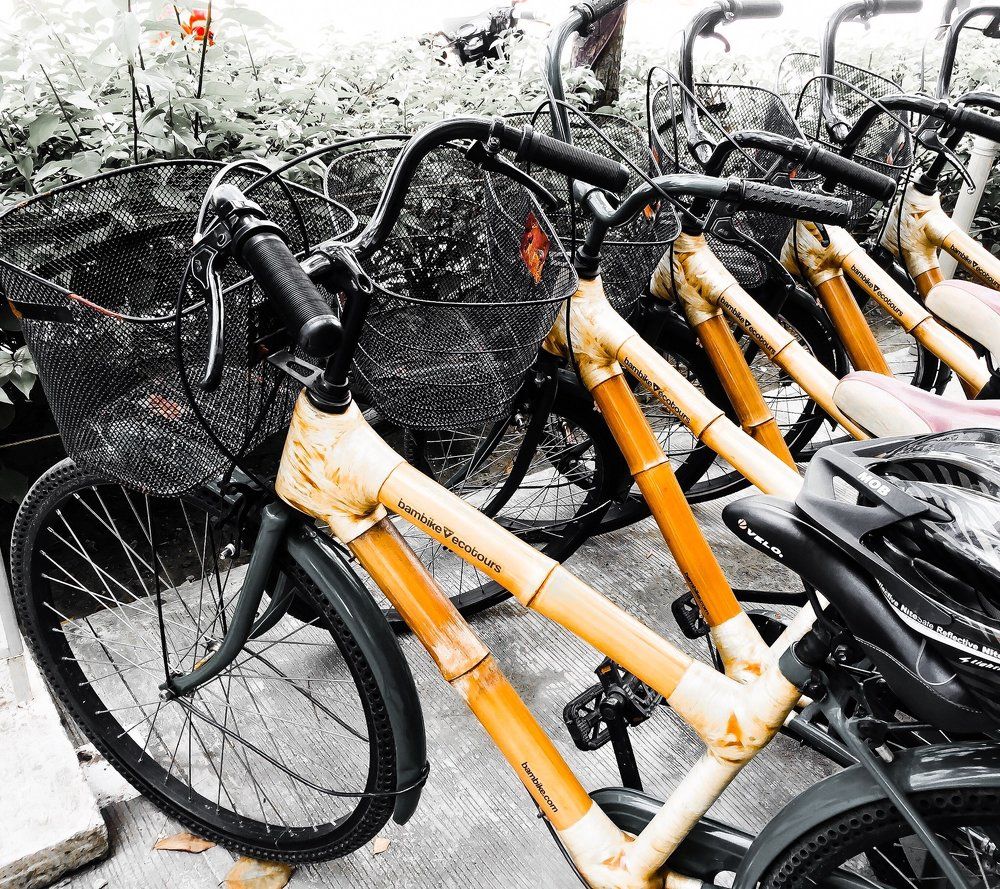 Bamboo Bikes