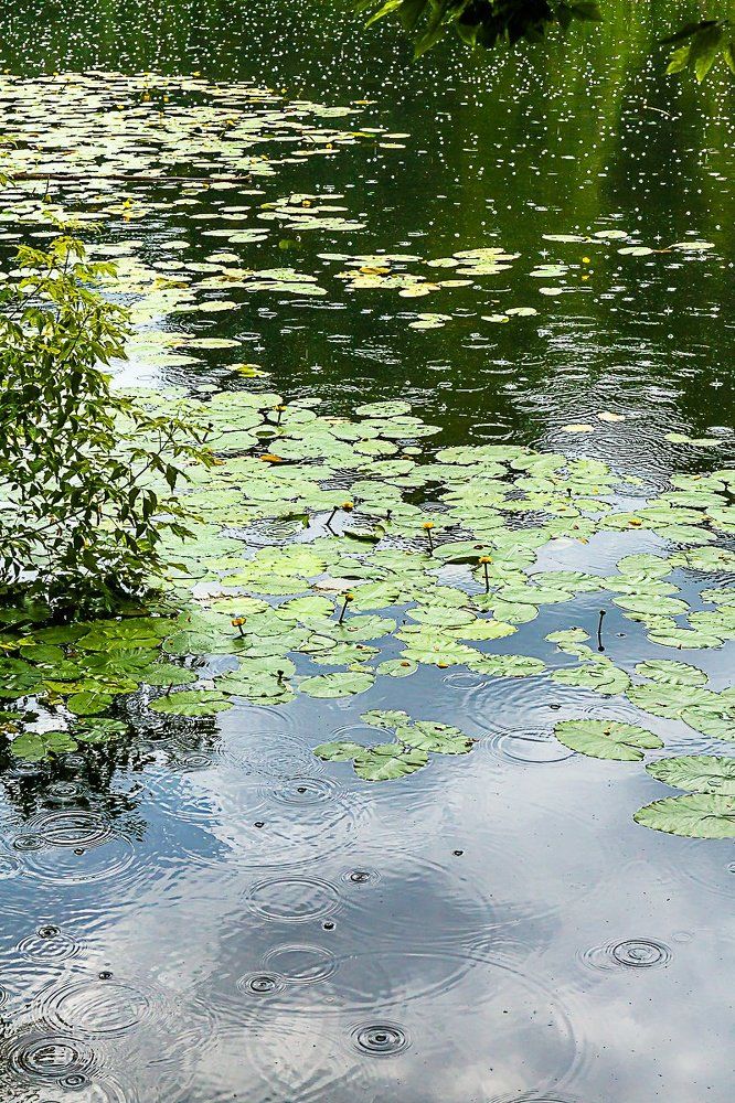 Городской парк