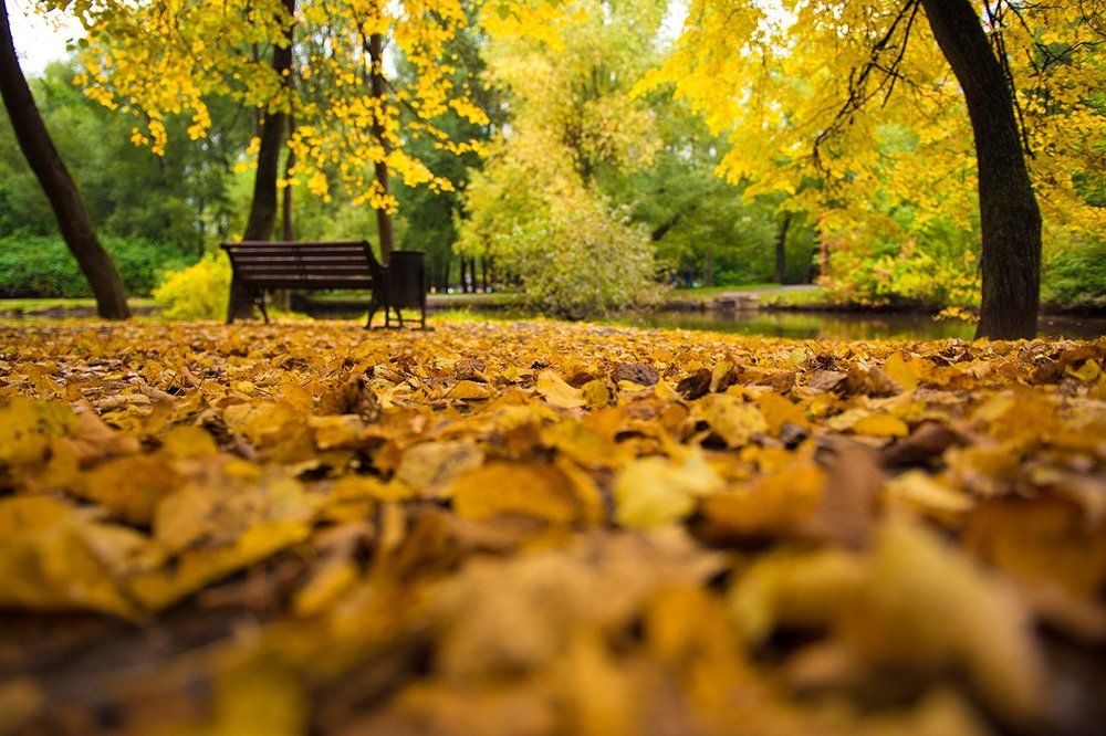 осеннее настроение