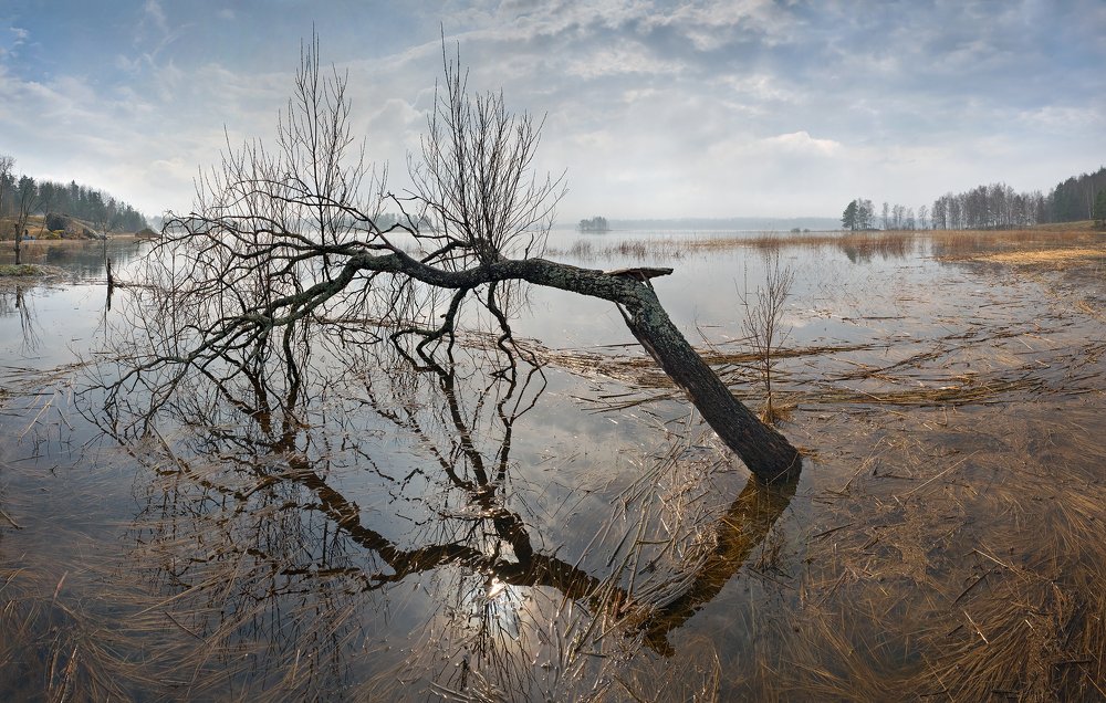 Весеннее половодье на Ладоге