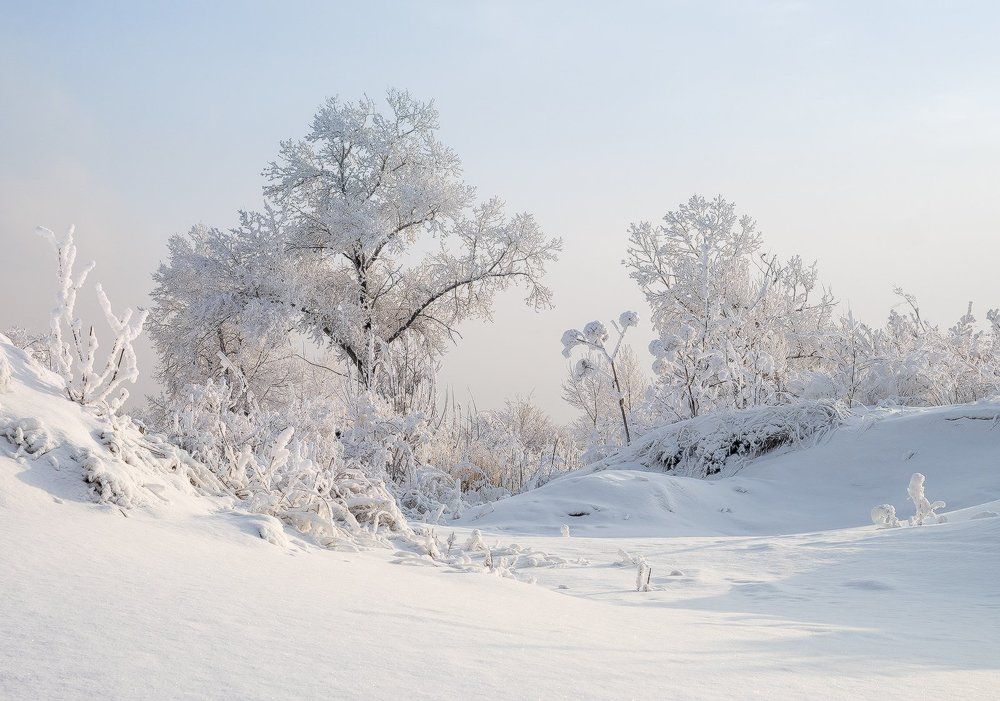 ...Снежные формы...