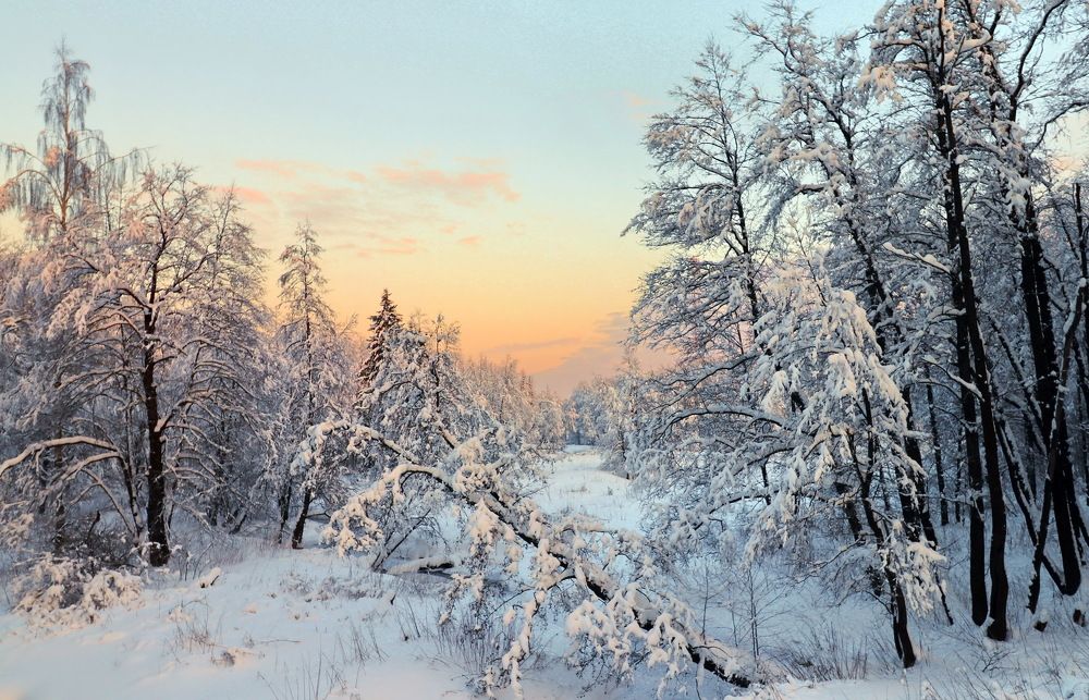 Февральское утро