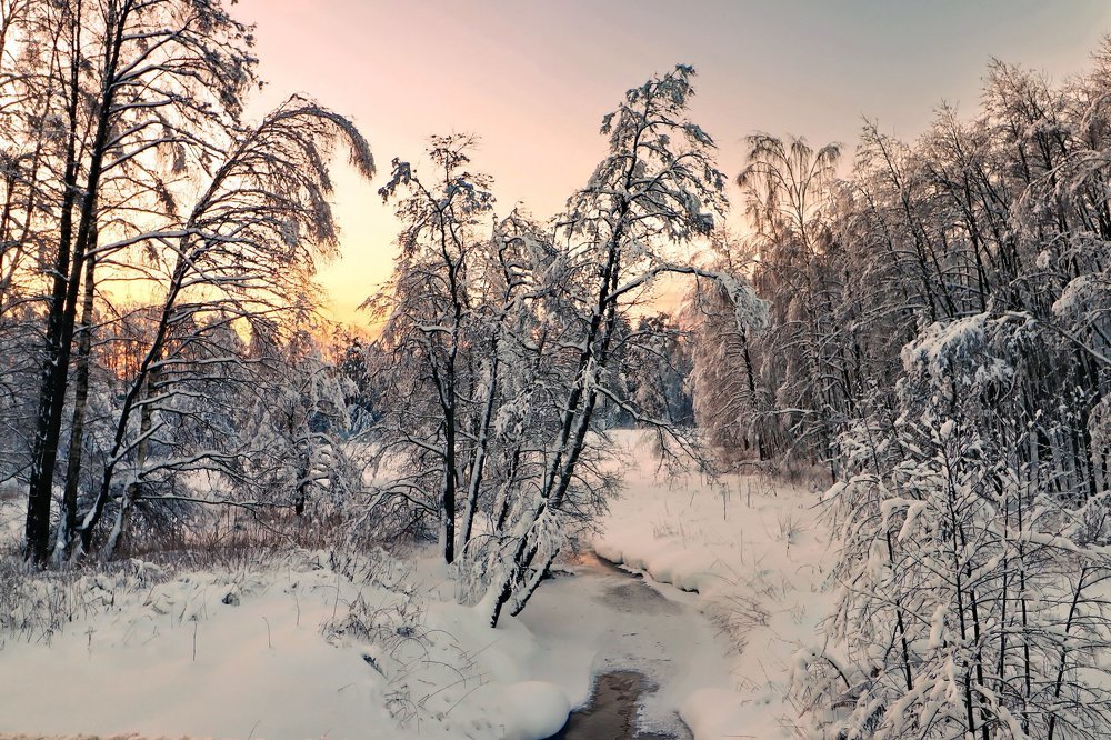 Февральское утро