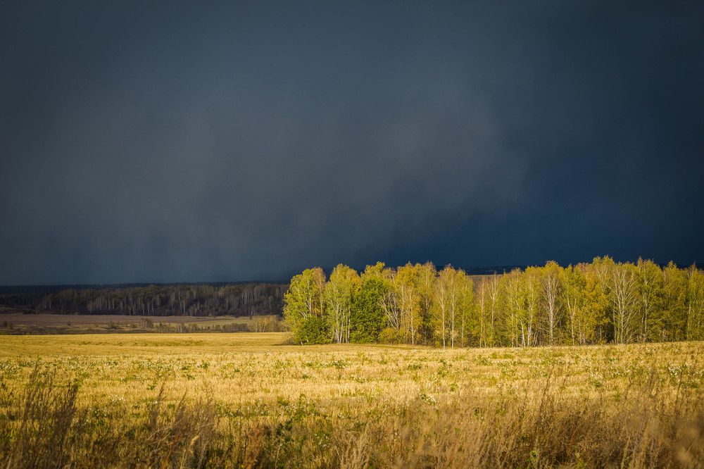 Перед грозой