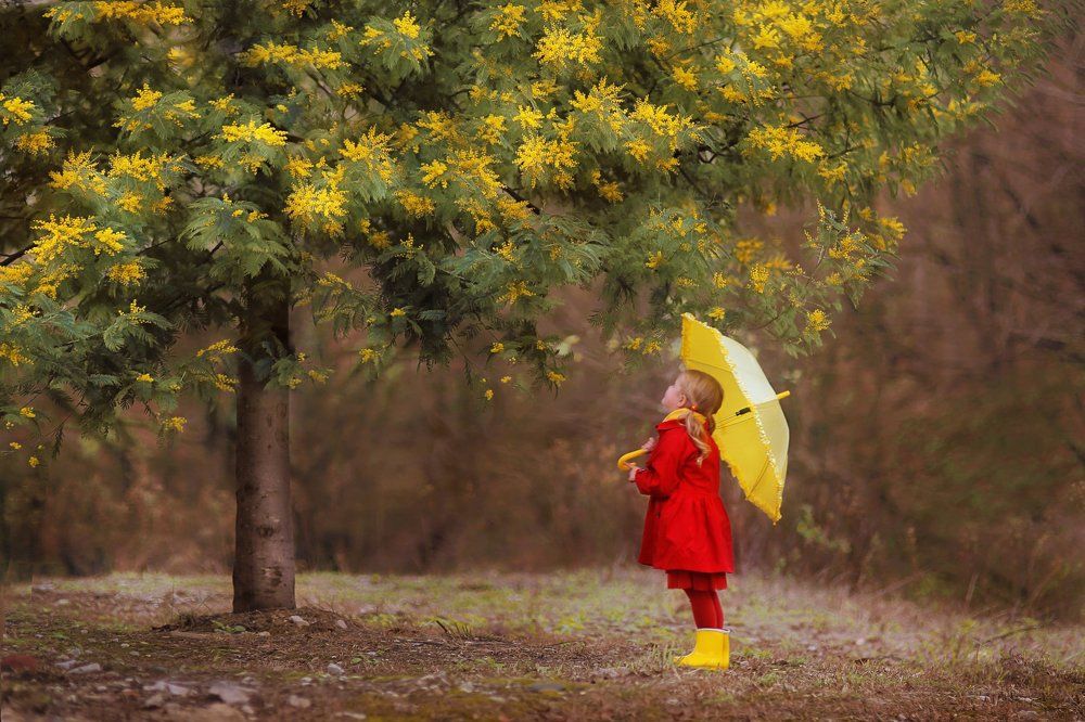 весна в Сочи