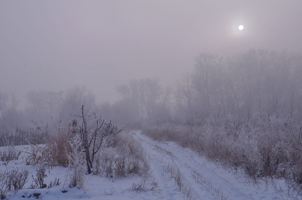 В туманную укутав шаль...
