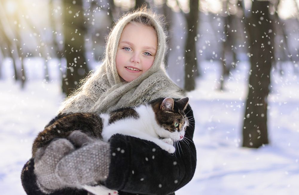 Зимний день