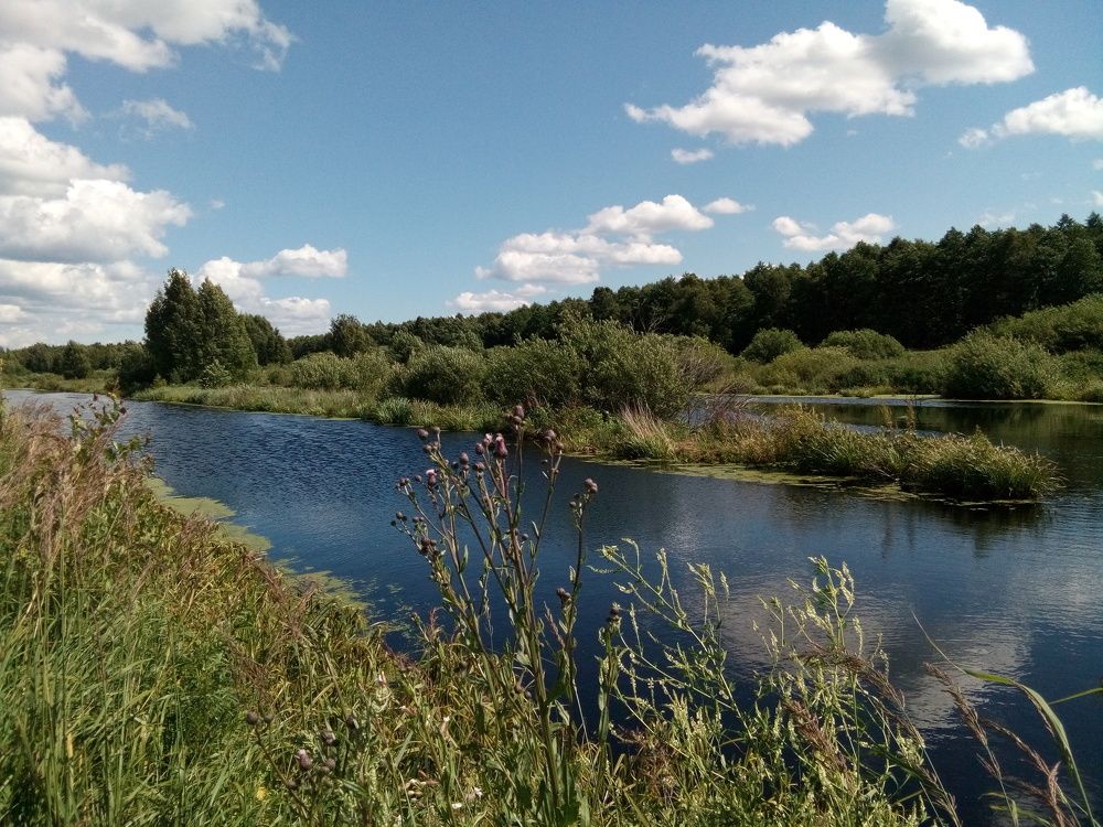 Торфяные озера