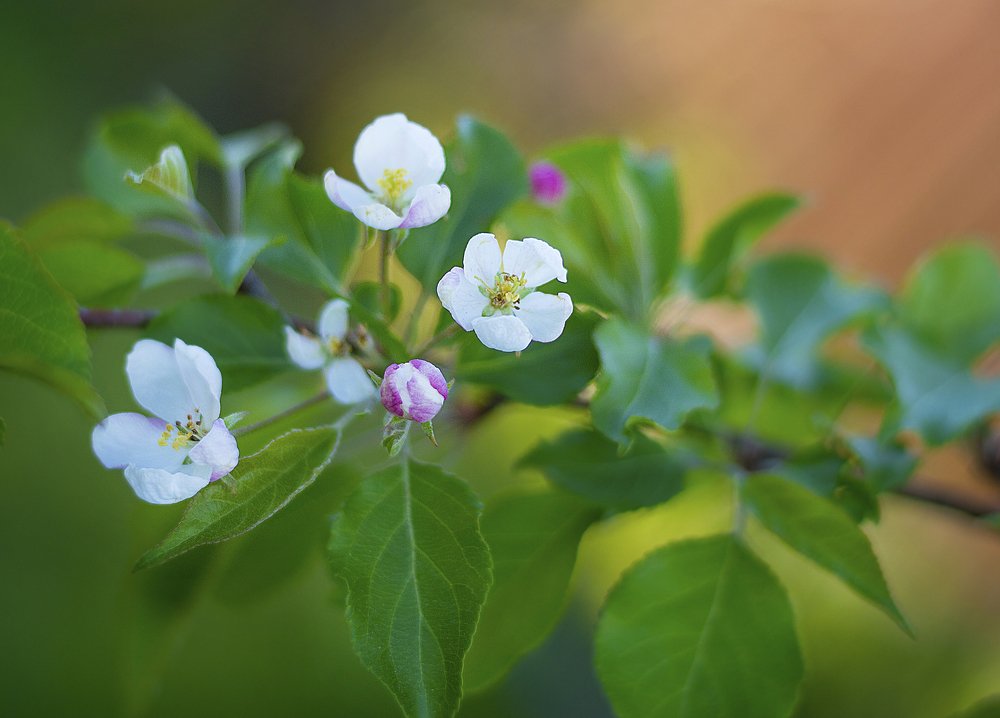 Photograph by Татьяна Никитина