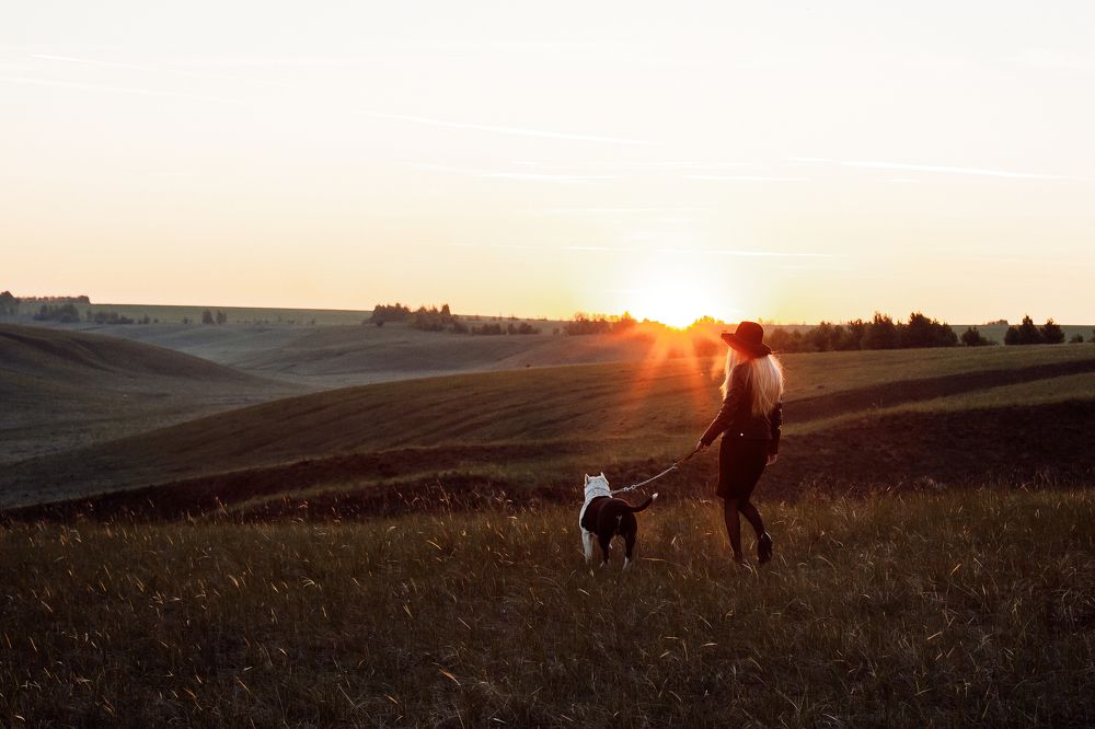 Верный друг