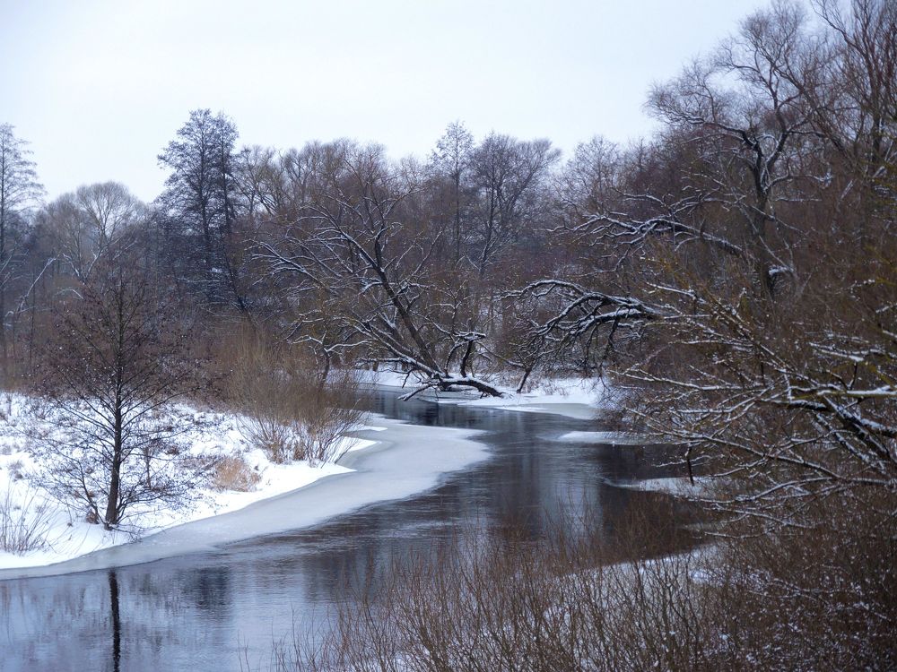 Река Лесная