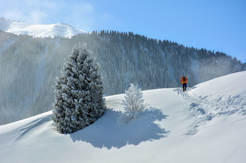 Поход в горы