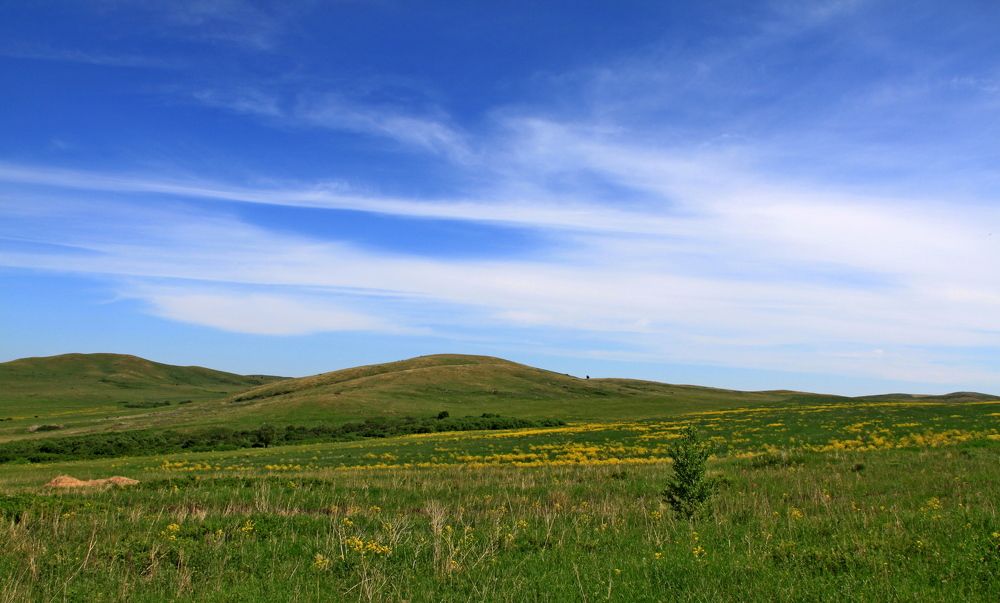 Цветение в предгорье
