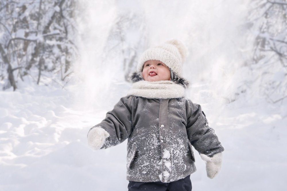 снежная зима