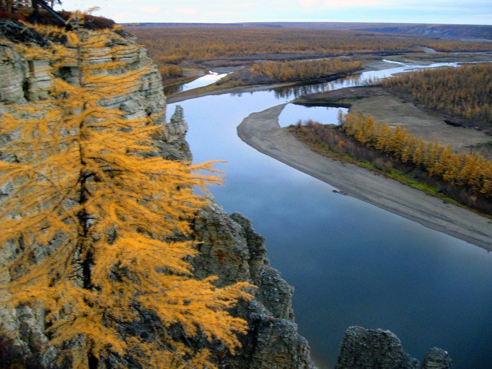 Дикая природа Заполярья