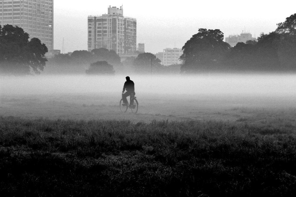 Foggy Morning