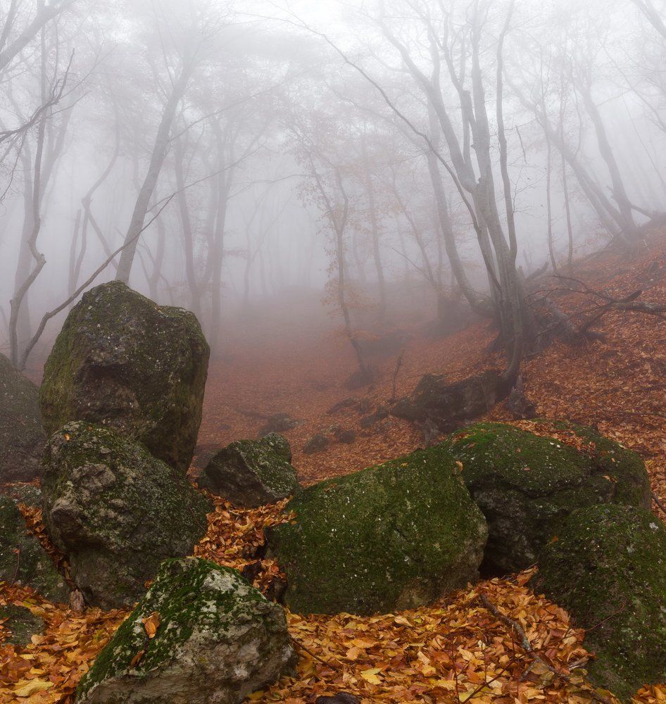 Осенний туман.