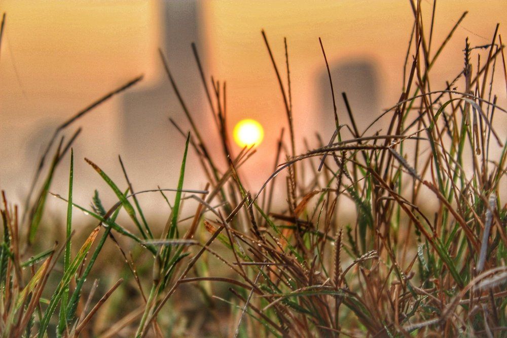 sunrise