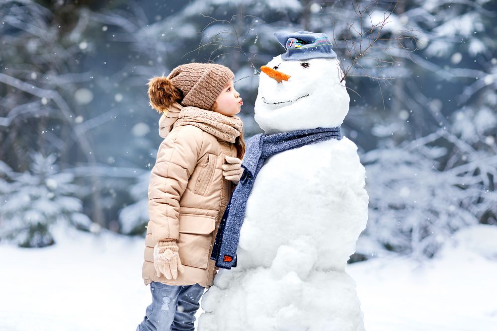 снежная дружба