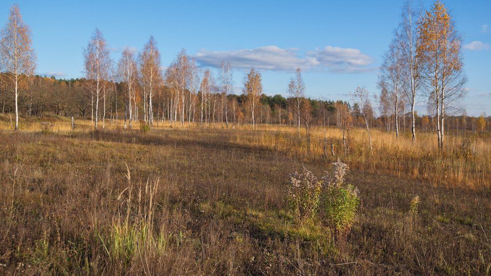 Глаженка. Октябрь.