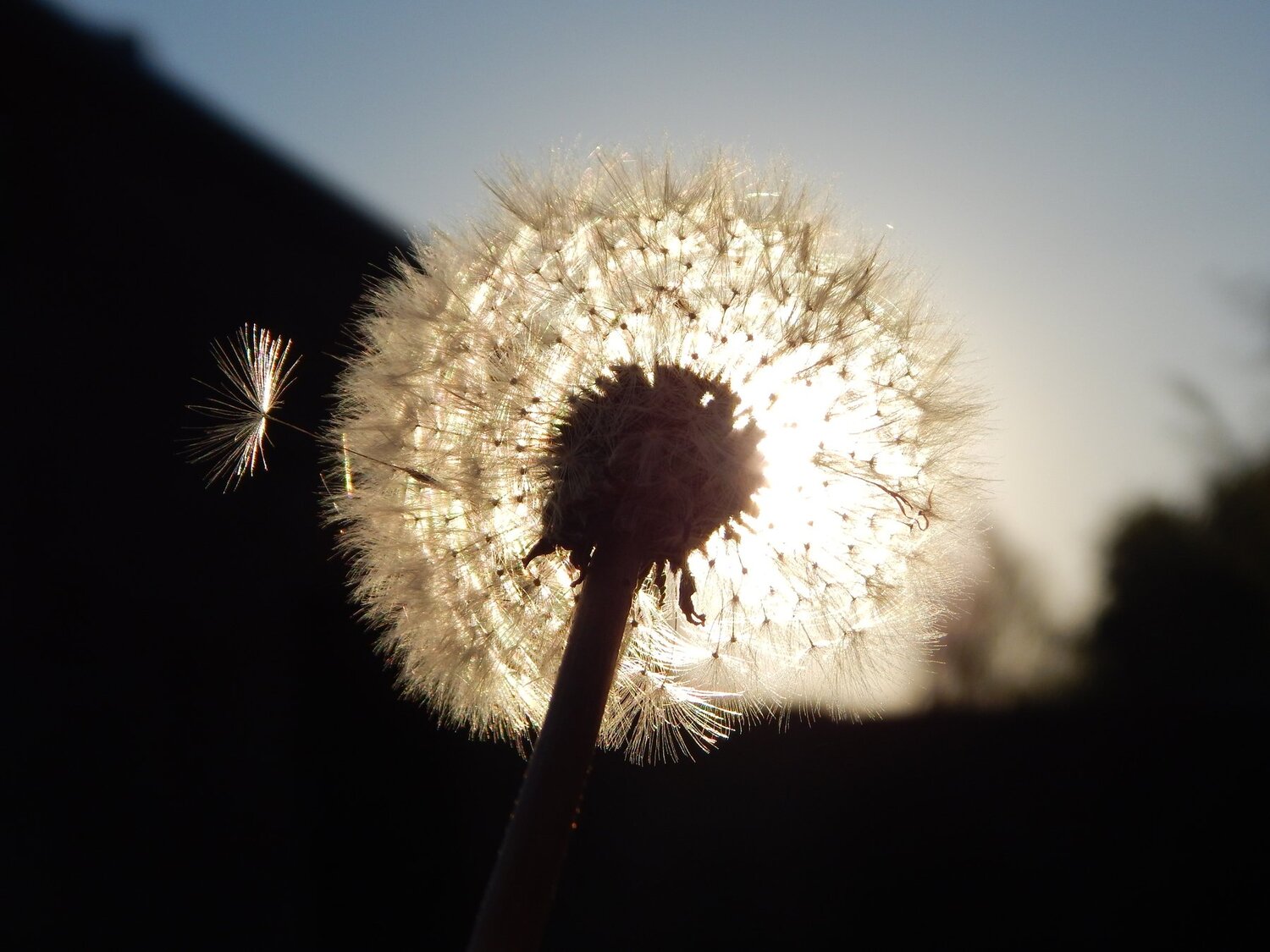 Photo #2198581