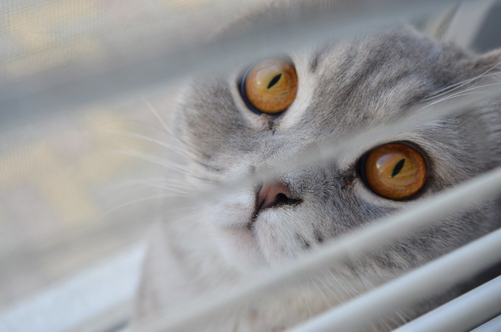 Photograph by Вероника