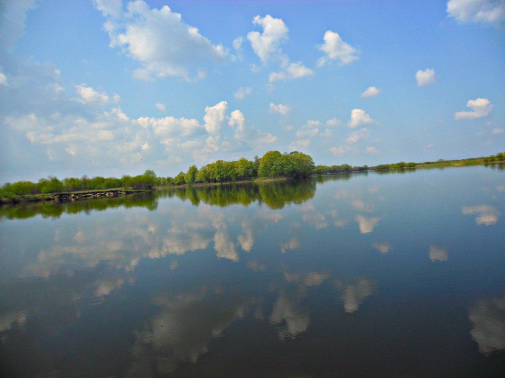 Летний день