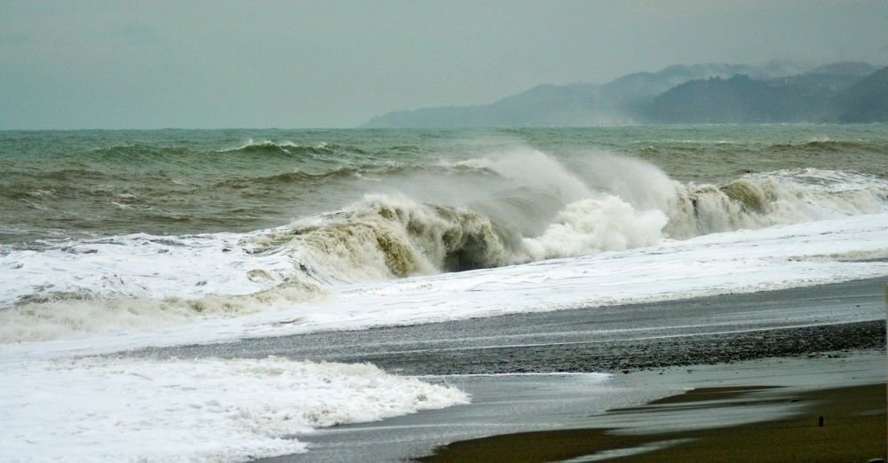 Photograph by Светлана Рослякова