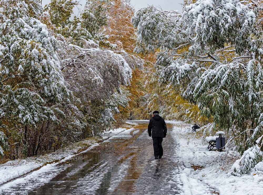 Жизнь словно сон - была и не была