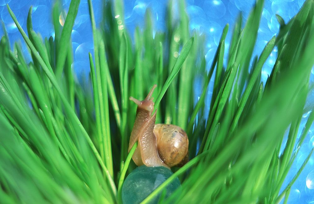 Photograph by Воинкова Ирина