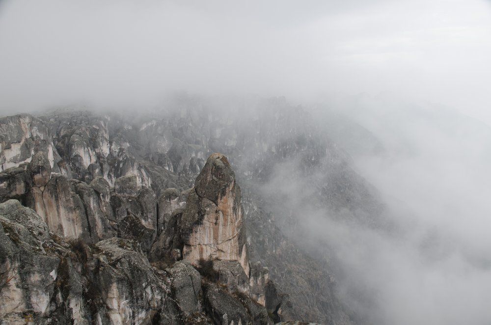 incas fog