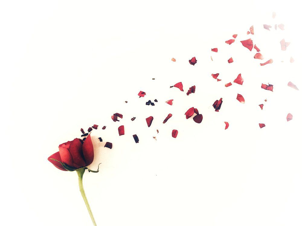 A Story About Love