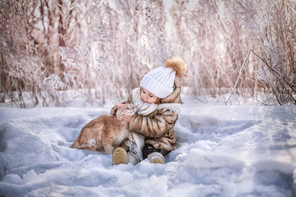 Ну давааааай подружимся!