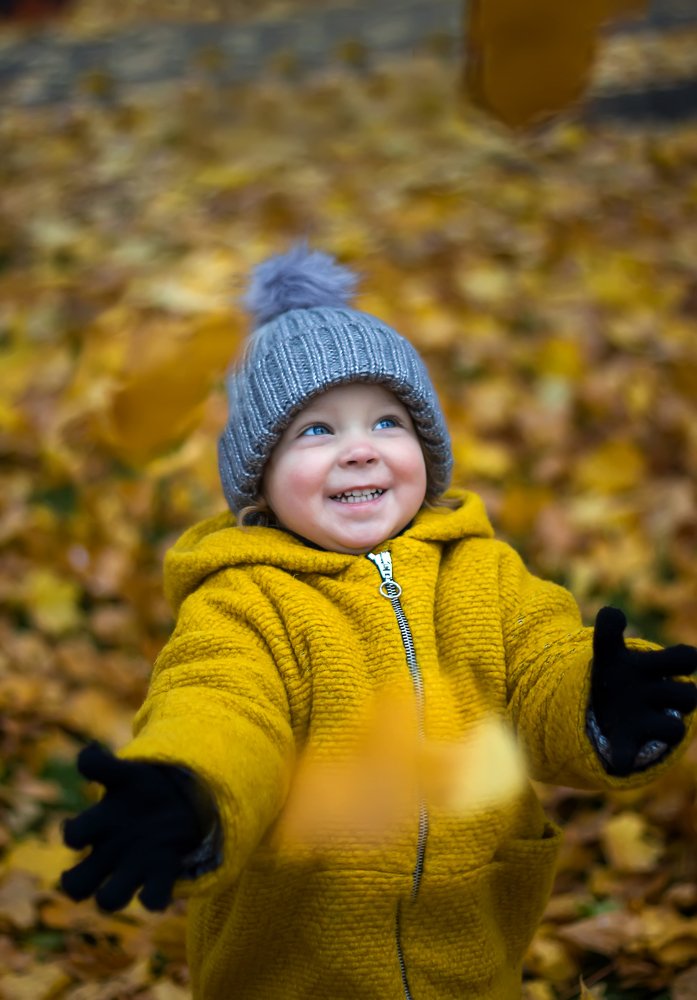 Осенний калейдоскоп