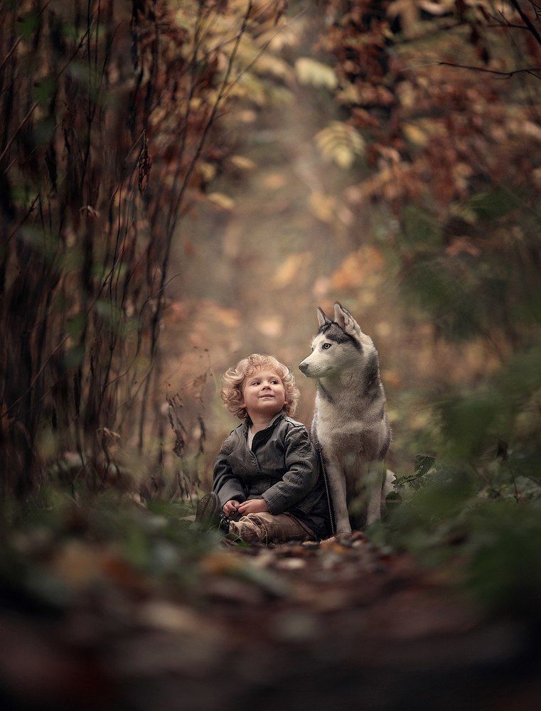 Встреча в лесу