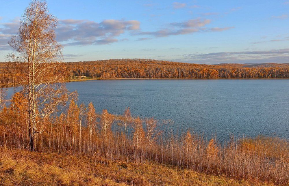 Рыжая осень.