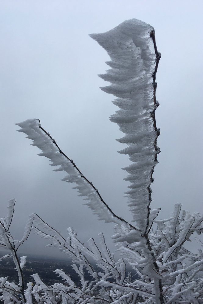 Photograph by Alpogor