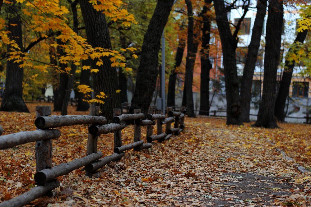 Photograph by Екатерина Мартынова