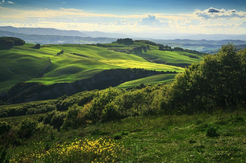 Холмы Тосканы