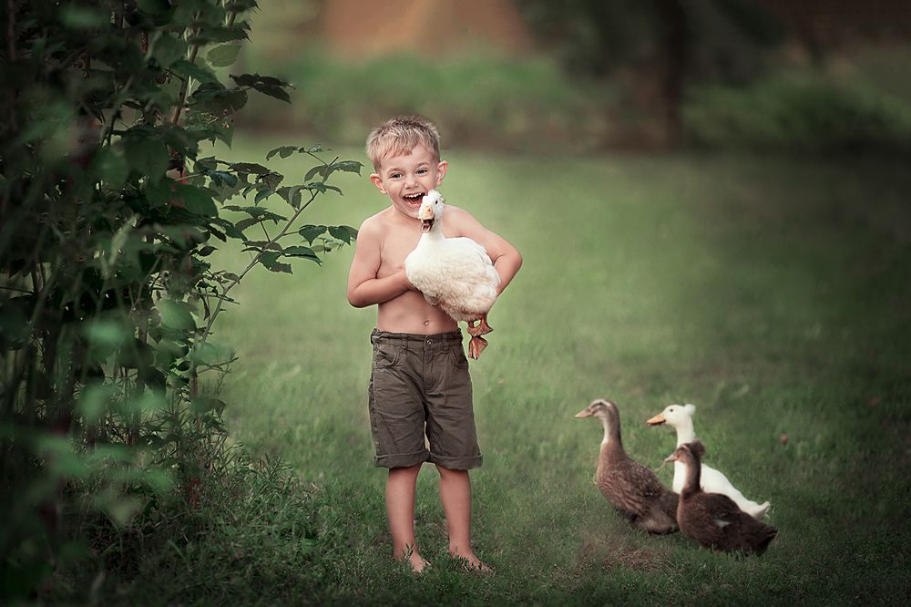 Лето в деревне