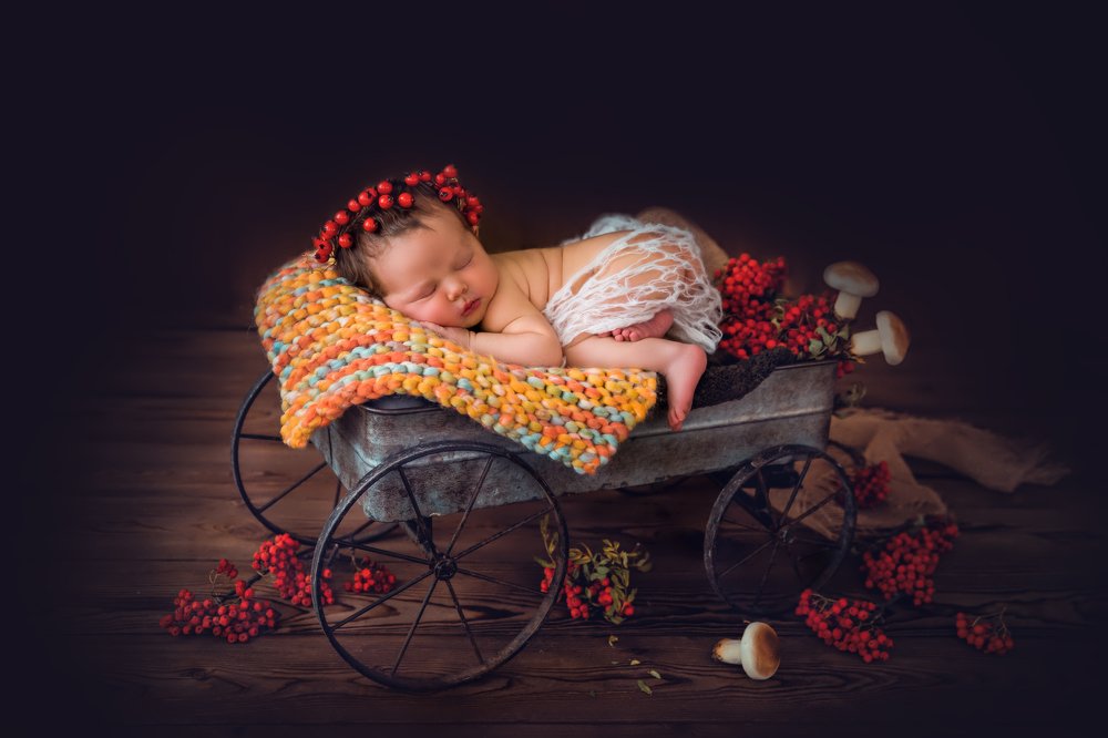 Плоды осени