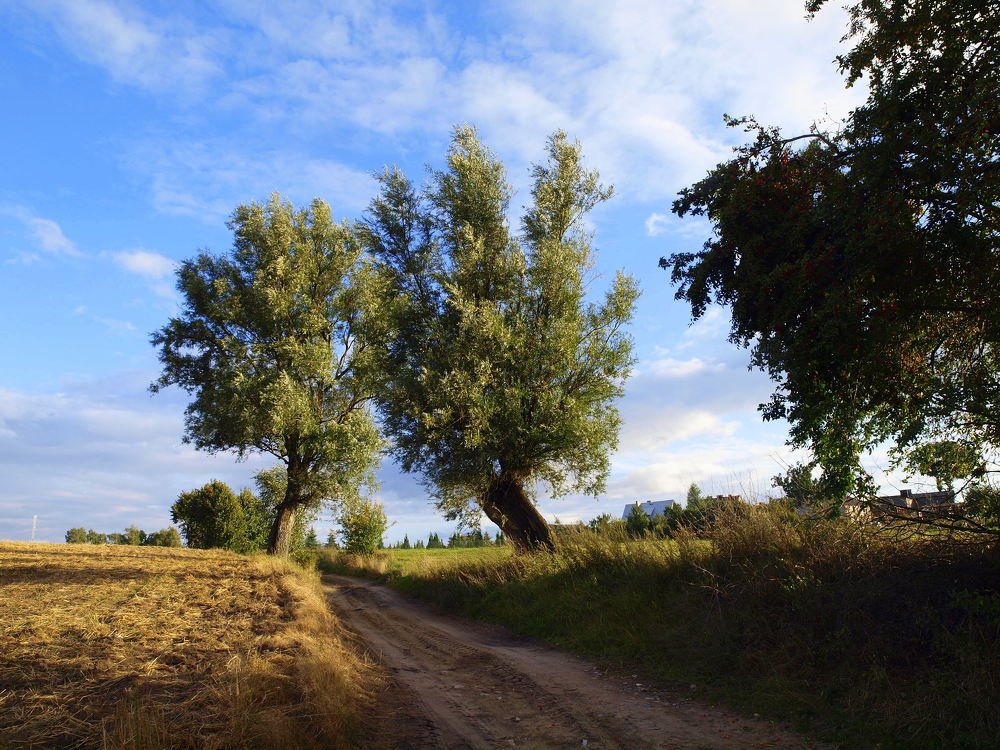 Фотография автора Jerzy Hermanowicz