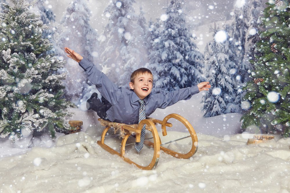 полёт на санях