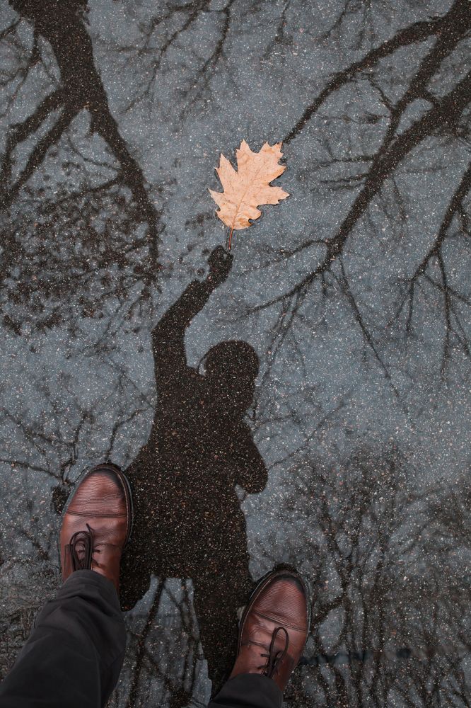 Ты неси меня листок в заснеженный декабрь