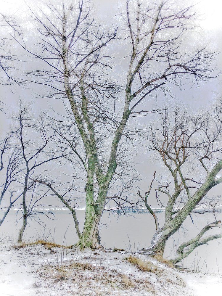 Зимняя графика.