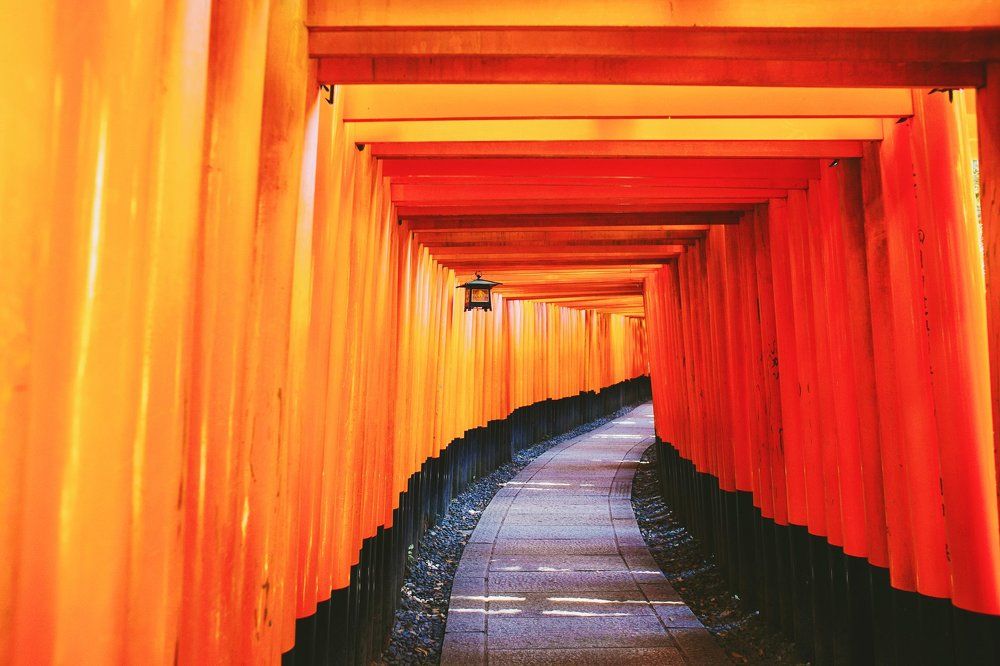 Torii at Fushimi Inari Shrine, Kyoto, Japan